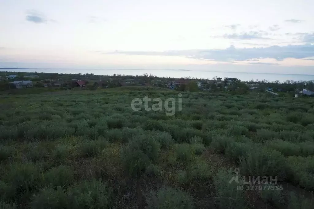 Участок в Крым, Ленинский район, Белинское с/пос, с. Новоотрадное ул. ... - Фото 1