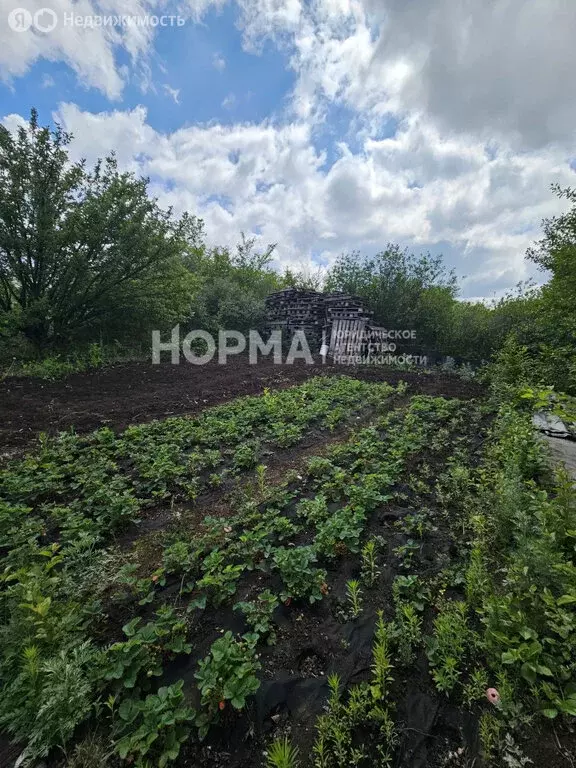 Участок в Октябрьский, КС Черёмушки-2, 105 (8.88 м) - Фото 1