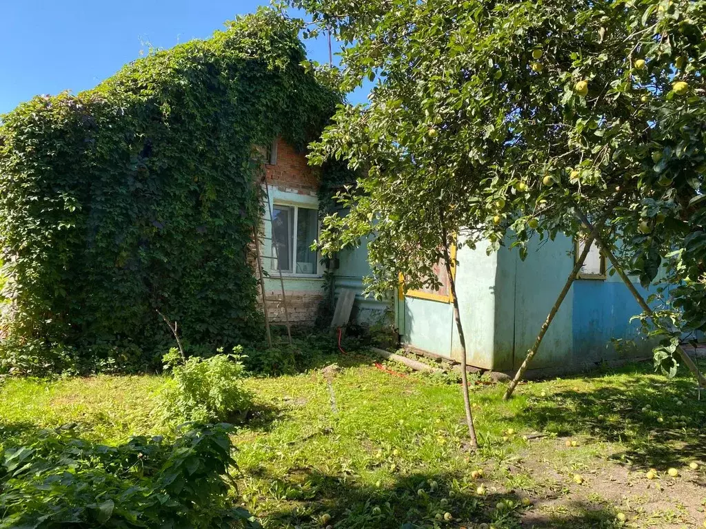 Дом в Смоленская область, Починковский муниципальный округ, д. ... - Фото 1