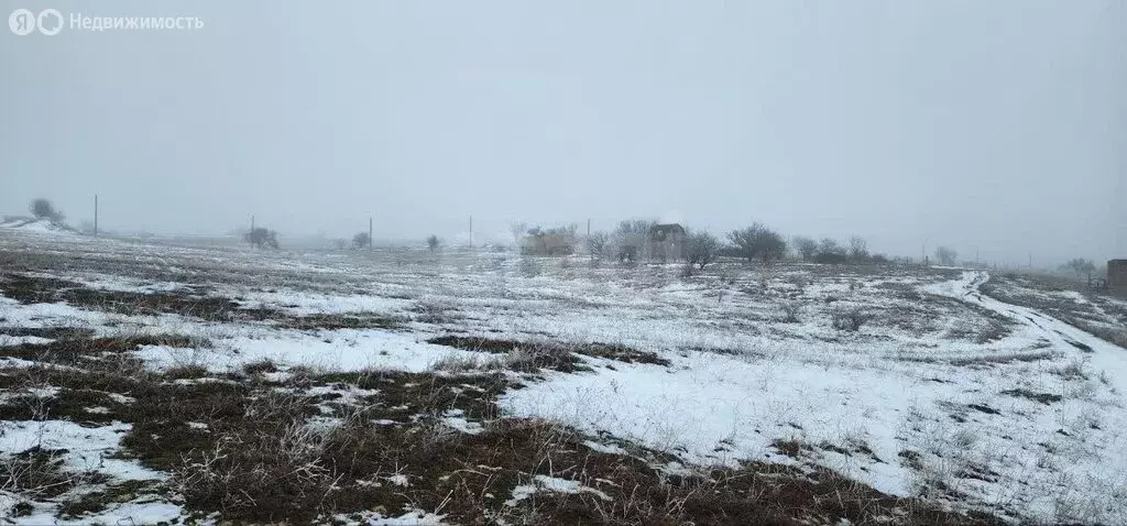 Участок в Симферопольский район, садовые участки 3-й массив, ДП ... - Фото 2