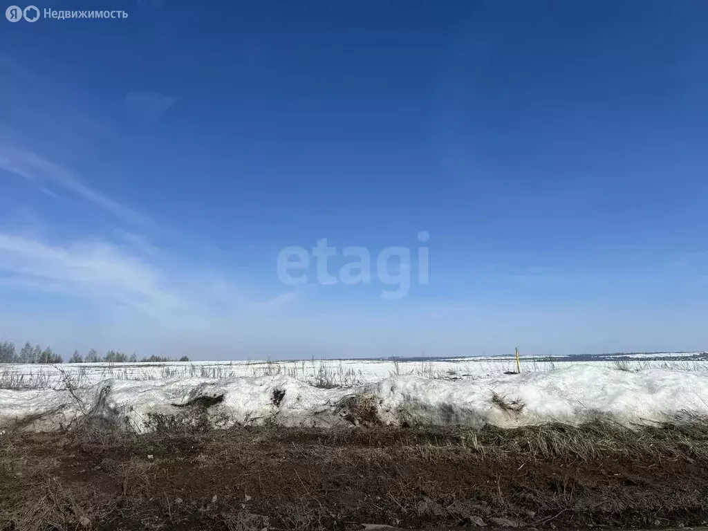 Участок в Завьяловский район, деревня Мещеряки, Кедровая улица (14 м) - Фото 2