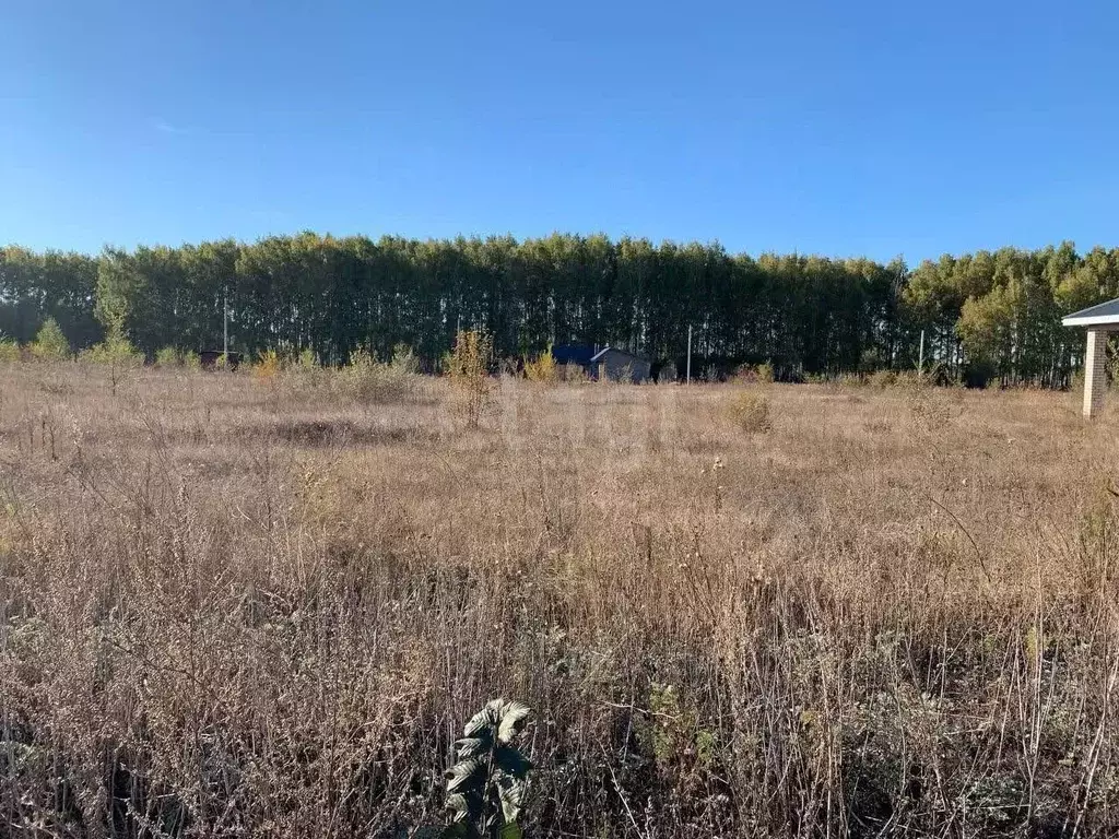 Участок в Самарская область, Кинель ул. Маяковского (8.0 сот.) - Фото 2