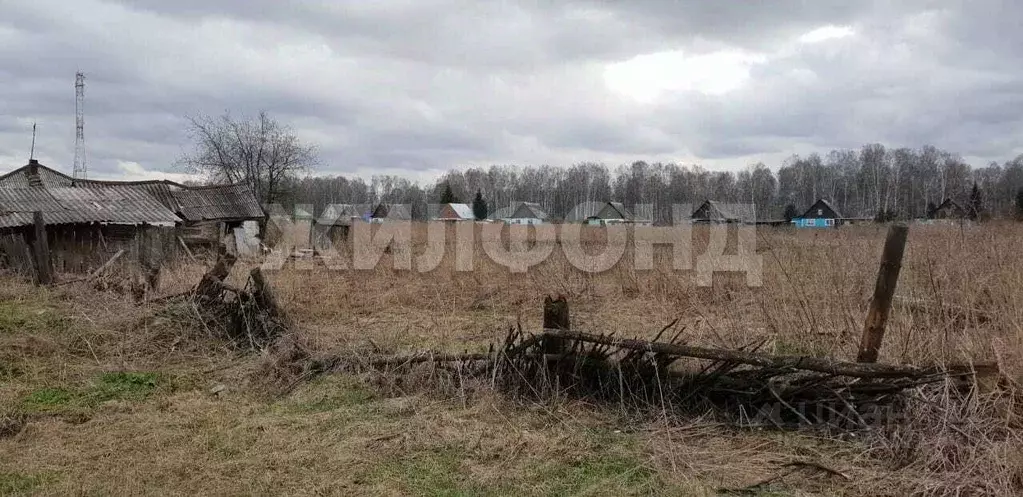 Участок в Новосибирская область, Искитимский район, с. Гусельниково ... - Фото 1