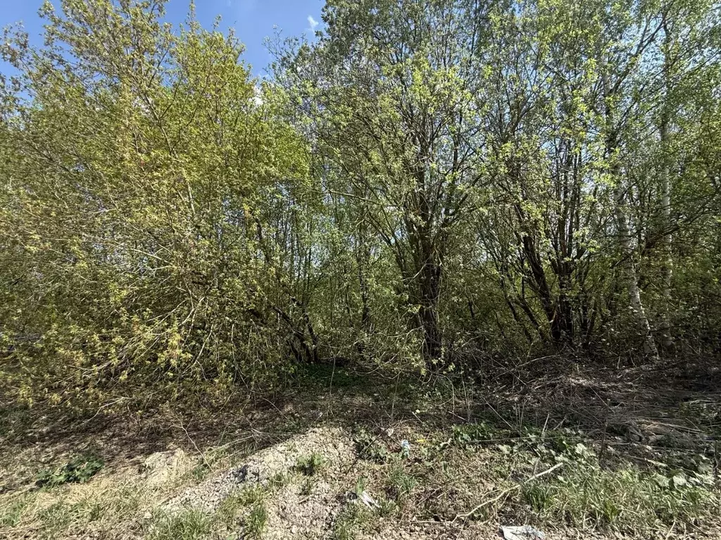Участок в Московская область, Кашира Березовая ул. (14.74 сот.) - Фото 0