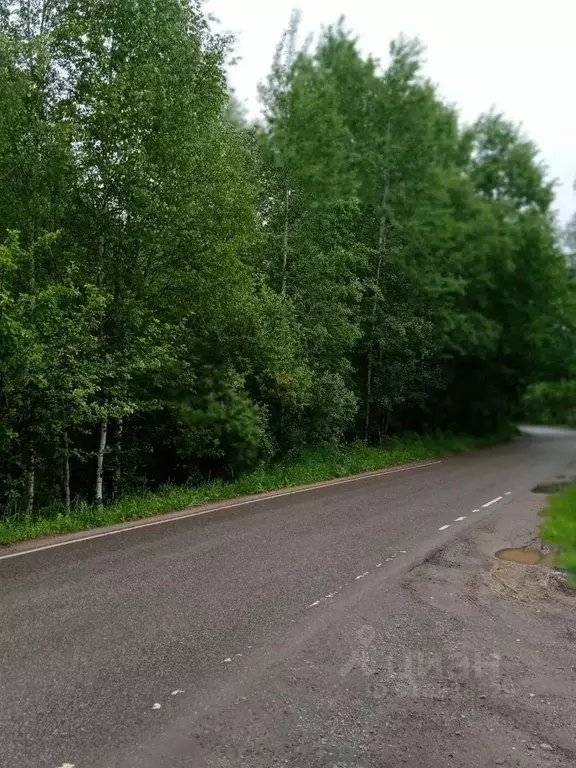 Участок, 11.7 сот., сельхоз (снт или днп) - Фото 0