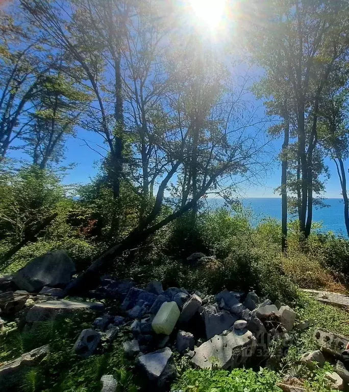 Участок в Краснодарский край, Сочи А-147, 140-й км (12.0 сот.) - Фото 2