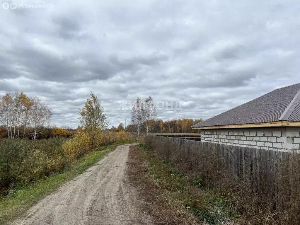 Дом в Толмачёвский сельсовет, СНТ Рябинка Обская, Западная улица (89.2 ... - Фото 1