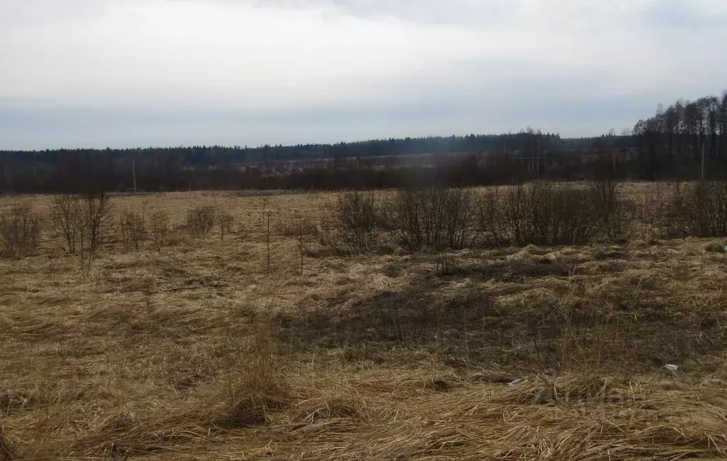 Участок в Калужская область, Мещовск городское поселение, д. ... - Фото 0