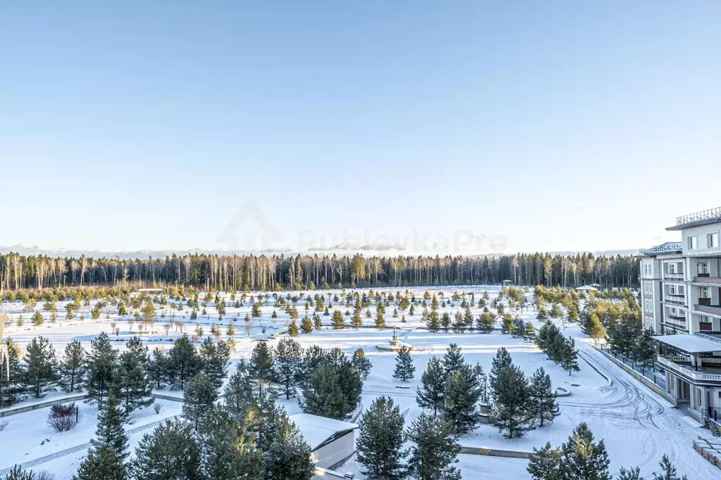 Студия Московская область, Одинцовский городской округ, д. Семенково, ... - Фото 1