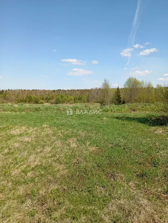 Участок в Коми, Сыктывкар городской округ, пос. Верхний Мыртыю ул. ... - Фото 2