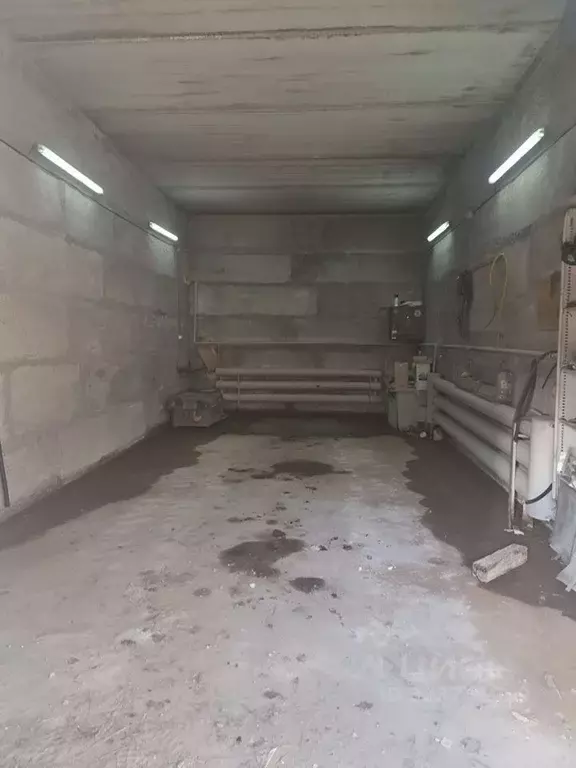 Помещение свободного назначения в Новосибирская область, Новосибирск ... - Фото 1