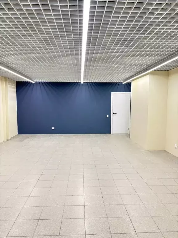 Помещение свободного назначения в Санкт-Петербург Заневский просп., 38 ... - Фото 2
