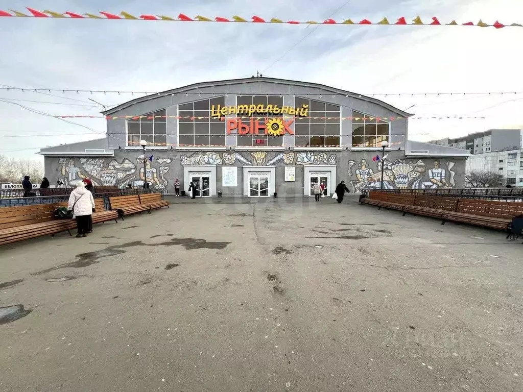 Склад в Курганская область, Курган ул. Куйбышева, 74с13 (162 м) - Фото 2