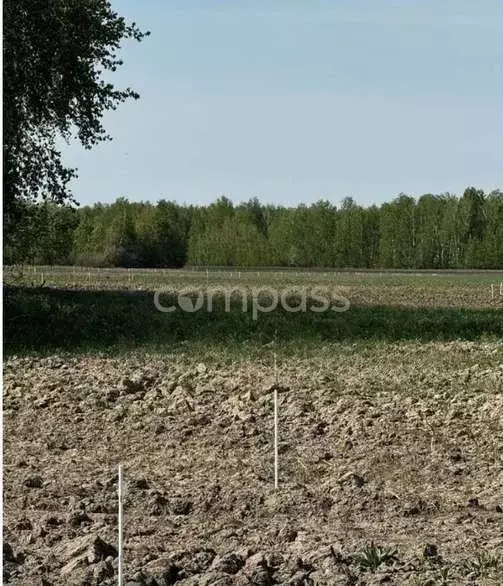 Участок в Тюменская область, Тюменский район, с. Горьковка Сибирская ... - Фото 0