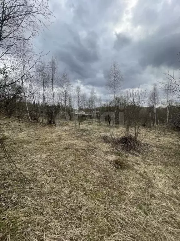 Участок в Тульская область, Тула городской округ, д. Коптево  (15.0 ... - Фото 1