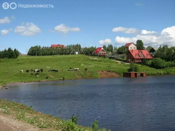 Участок в Пермский муниципальный округ, деревня Заозерье ... - Фото 0