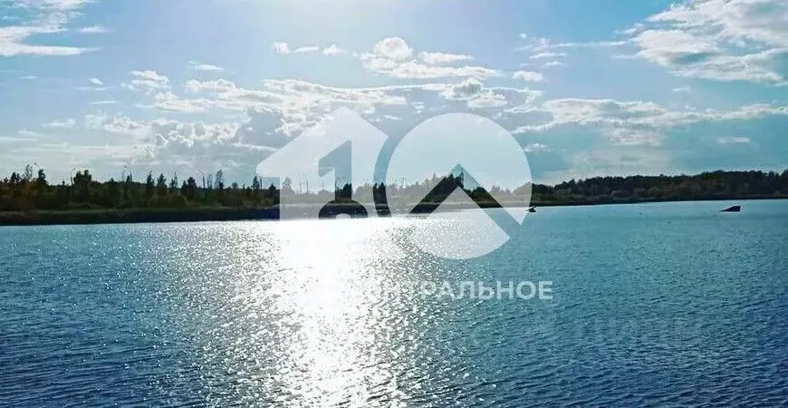 Участок в Новосибирская область, Новосибирский район, Криводановский ... - Фото 1