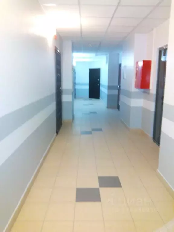 Студия Санкт-Петербург ул. Русановская, 15к1 (27.0 м) - Фото 1