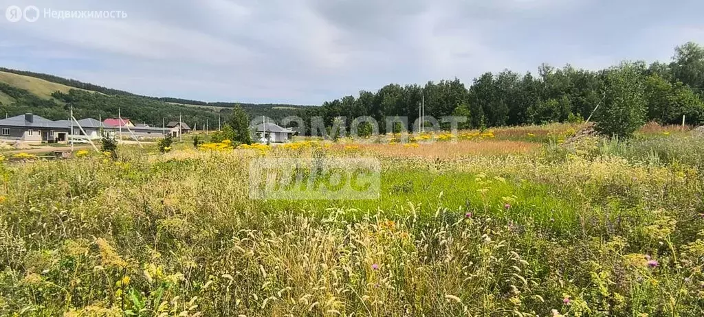 Участок в Октябрьский, микрорайон Радужный, 2-й Берёзовый проезд (8.39 ... - Фото 1