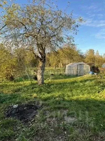 Участок в Смоленская область, Смоленск Жигули СНТ,  (4.0 сот.) - Фото 0