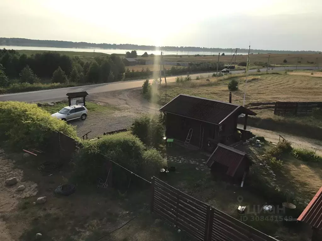 Участок в Псковская область, Гдовский район, Спицинская волость, ... - Фото 1