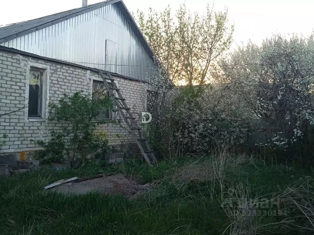 Дом в Воронежская область, Таловский район, Александровское с/пос, ... - Фото 2