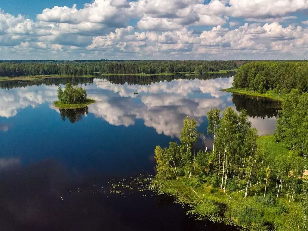 Участок в Новгородская область, Валдайский район, Ивантеевское с/пос, ... - Фото 0