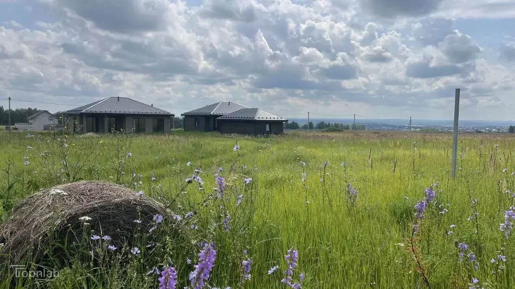 Участок в Пензенская область, с. Бессоновка ул. Родниковая (10.0 сот.) - Фото 2