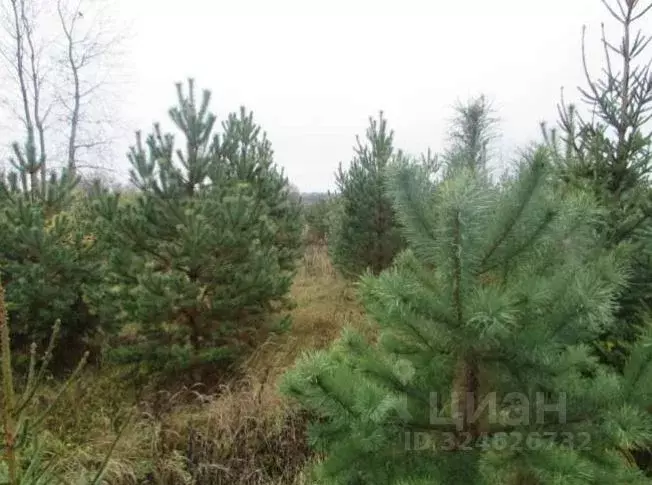 Участок в Московская область, Коломна городской округ, д. Куземкино  ... - Фото 1