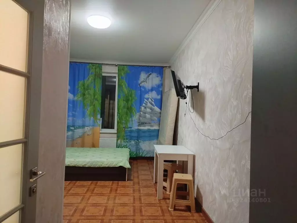 1-к кв. Московская область, Балашиха Щитниково кв-л, 104 (30.0 м) - Фото 2