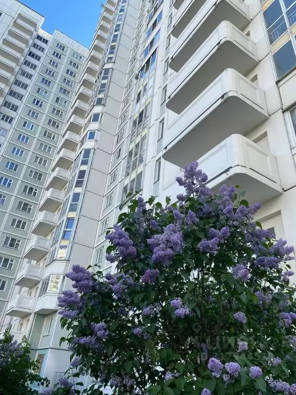 1-к кв. Москва Варшавское ш., 160к3 (43.0 м) - Фото 1