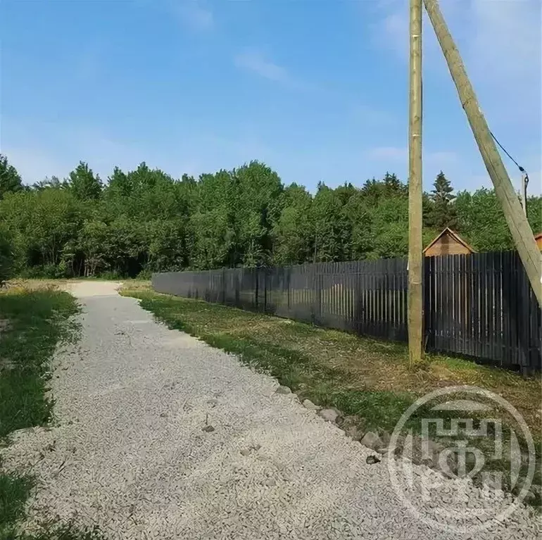 Участок в Ленинградская область, Волосовский район, Клопицкое с/пос, ... - Фото 2