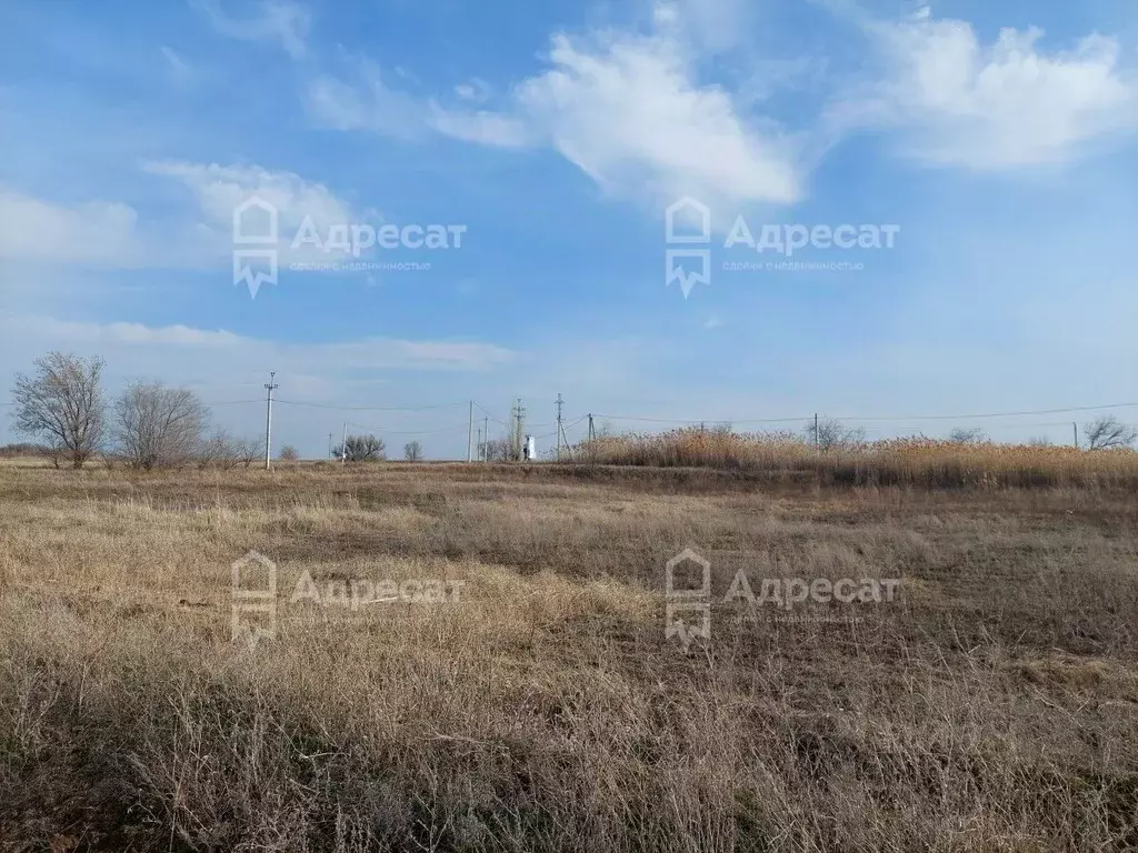 Участок в Волгоградская область, Волгоград ул. Новгородская (8.72 ... - Фото 1