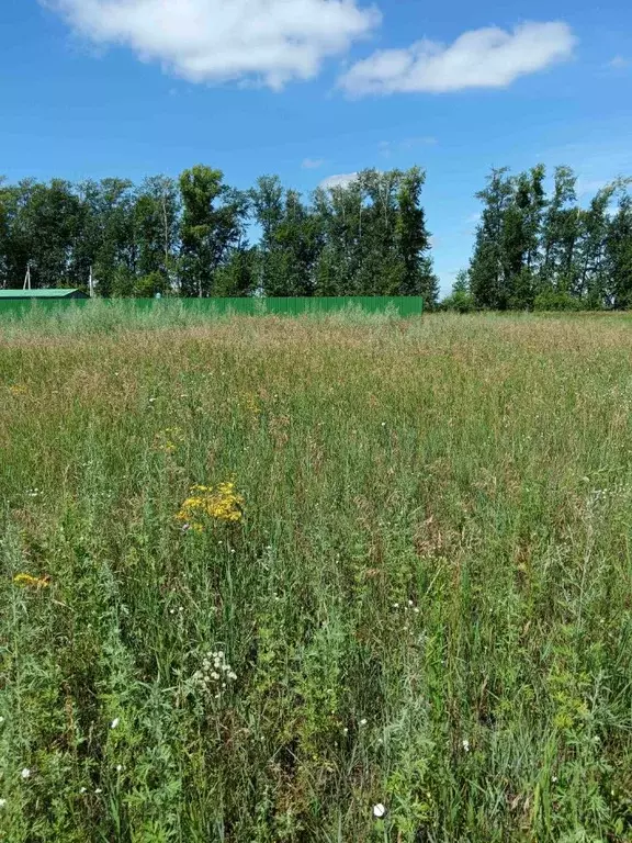 Участок в Омская область, Омский район, с. Усть-Заостровка ул. 2-я ... - Фото 0