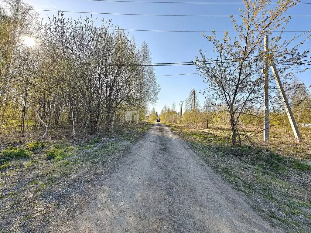 Участок в Новосибирск, 1-й Биатлонный переулок (10 м) - Фото 1