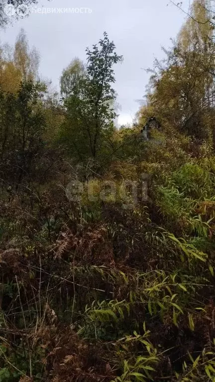 Участок в Брянский район, Мичуринское сельское поселение, СДТ ... - Фото 1