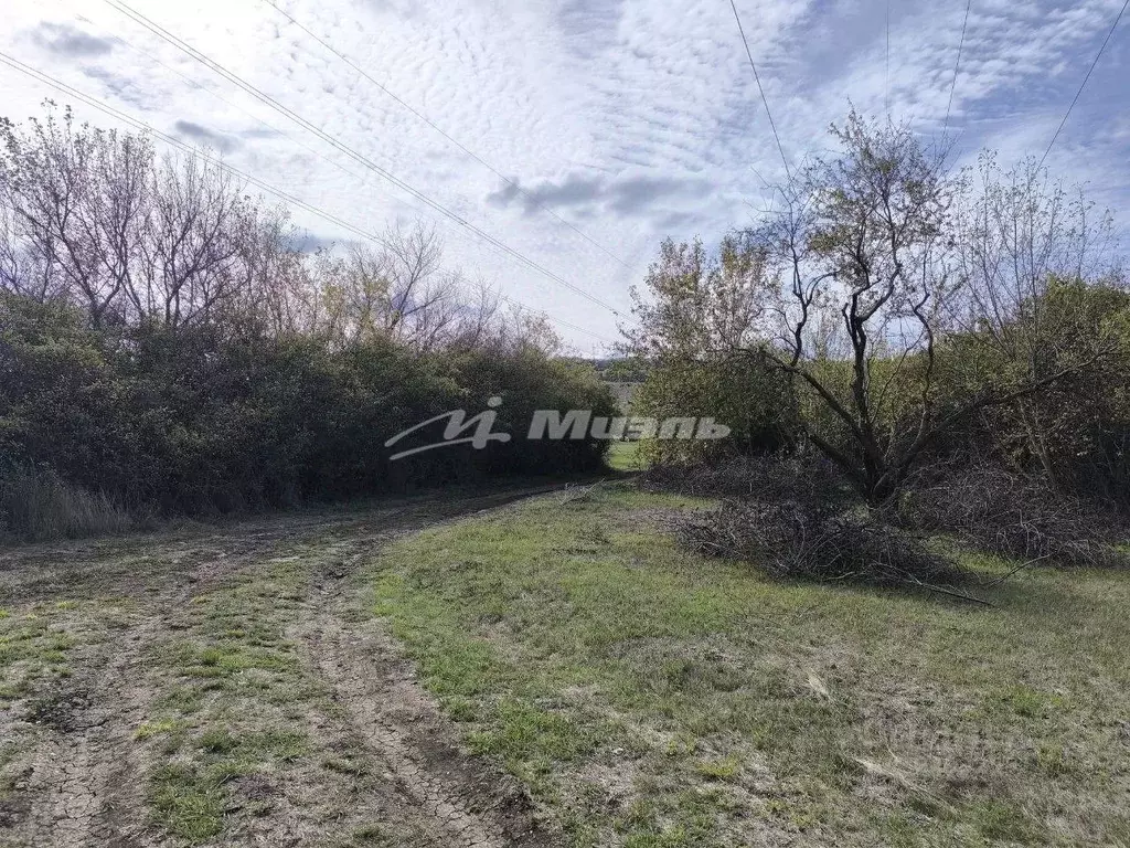 Участок в Крым, Симферопольский район, Перовское с/пос, Рино СТ 87 ... - Фото 1