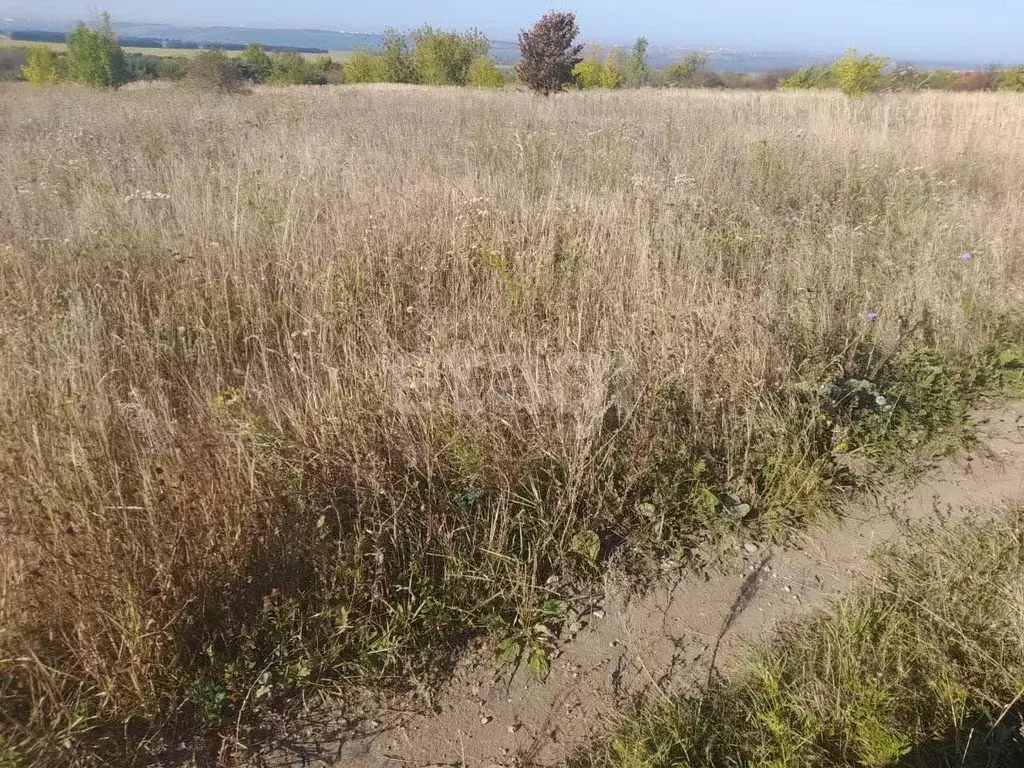 Участок в Белгородская область, Корочанский муниципальный округ, ... - Фото 2
