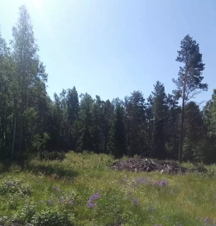 Участок в Ленинградская область, Выборгский район, Селезневское с/пос, ... - Фото 0