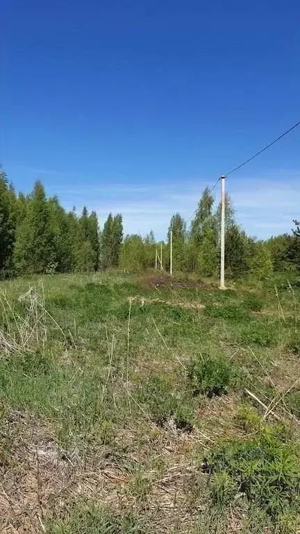Участок в Псковская область, Гдовский район, Юшкинская волость, д. ... - Фото 0