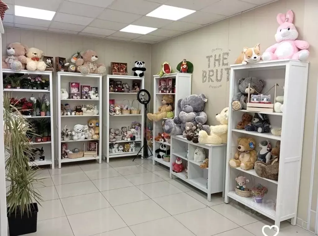 Торговая площадь в Санкт-Петербург 8-я Васильевского острова линия, 31 ... - Фото 2