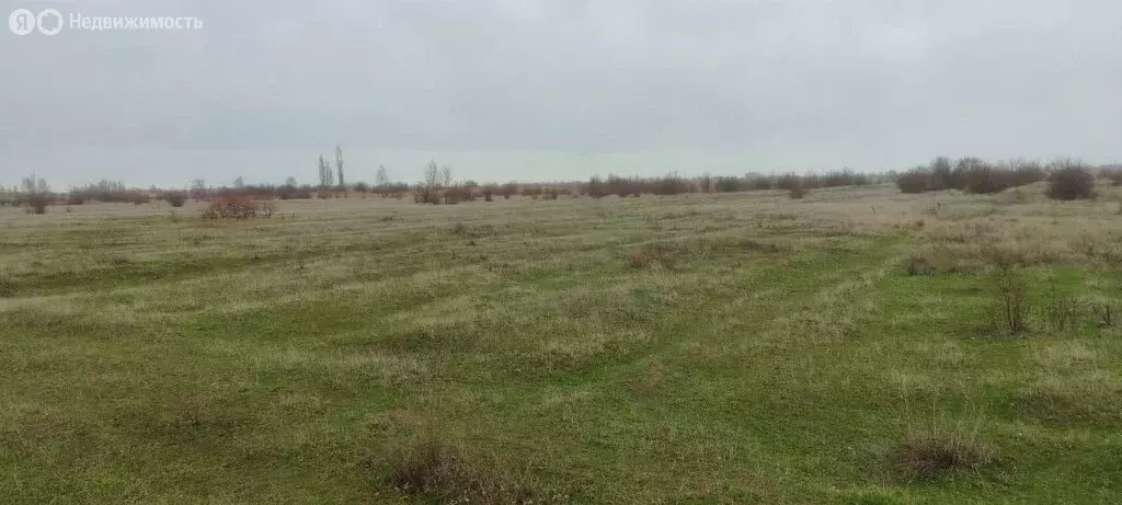 Участок в хутор Закутский, Кужная улица (76 м) - Фото 1