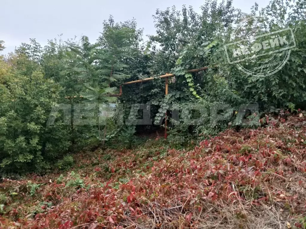 Участок в Ростовская область, Новочеркасск пер. Володарского (5.7 ... - Фото 1