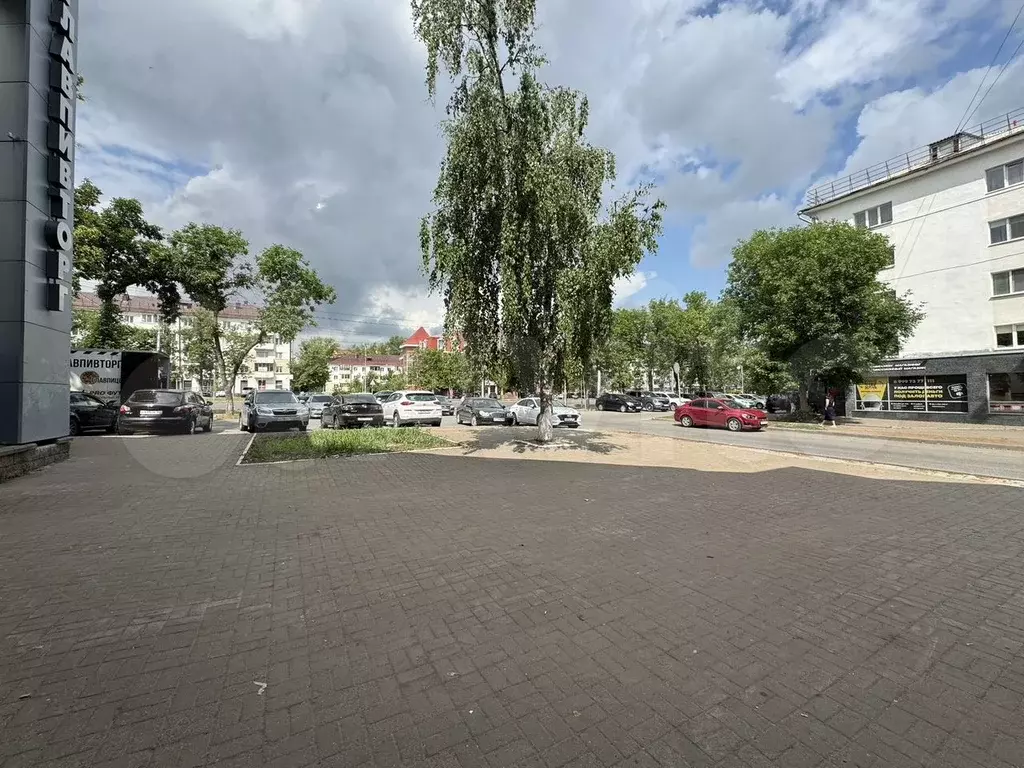 Офис, образование, клиника 528-631 кв.м - Фото 1