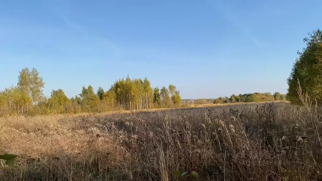 Участок в Московская область, Кашира городской округ, д. Никулино  ... - Фото 1