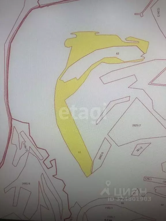 Участок в Амурская область, Бурейский муниципальный округ, с. ... - Фото 1