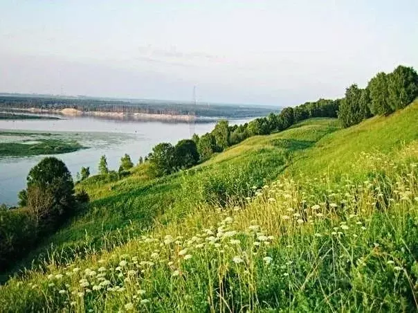 Участок в Нижегородская область, Богородский район, д. Трестьяны  (1.0 ... - Фото 1