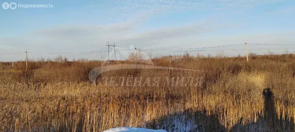 Участок в Тюмень, микрорайон Зарека, Сенная улица (11 м) - Фото 1