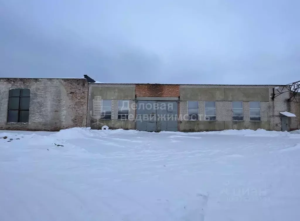 Склад в Новгородская область, Новгородский район, Панковское городское ... - Фото 1