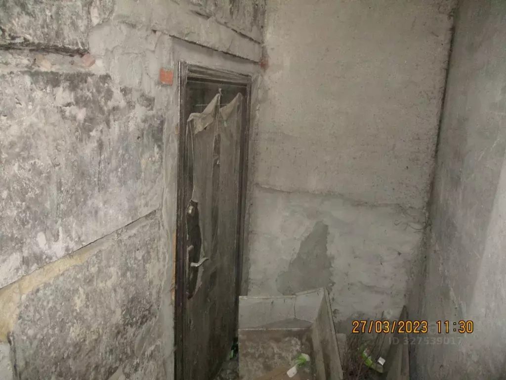 Помещение свободного назначения в Новосибирская область, Новосибирск ... - Фото 1